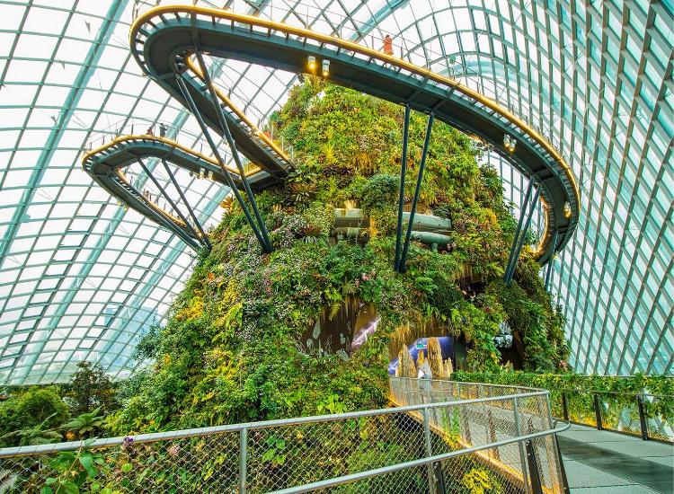 Gardens by the Bay Singapore Khung cảnh Gardens by the Bay cho bộ ảnh du lịch hiện đại tại Singapore